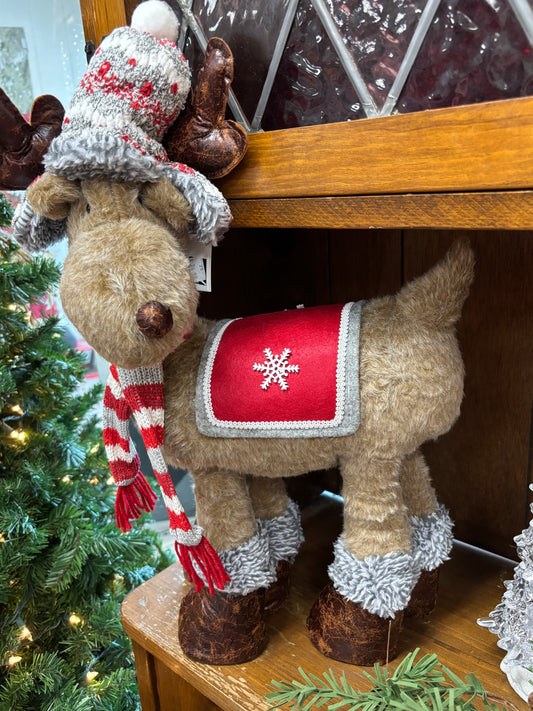 Moose with Hunters Hat