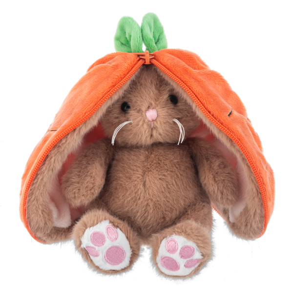 Hide and Seek Plush Bunny