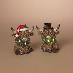 Highland Cow - 2 Styles
