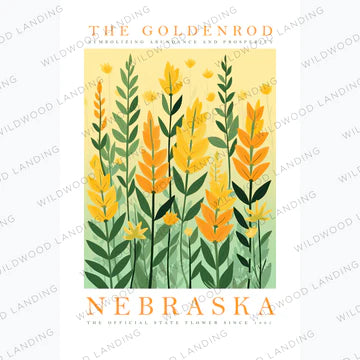 Nebraska Flower Kitchen Towel