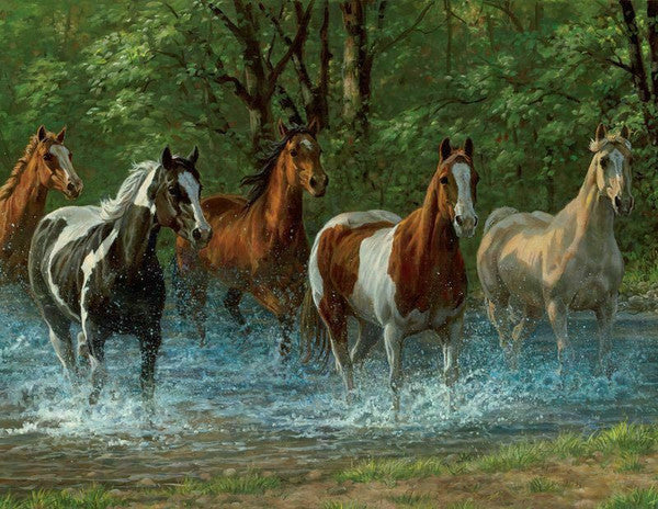 Summer Creek Puzzle - 500 pieces