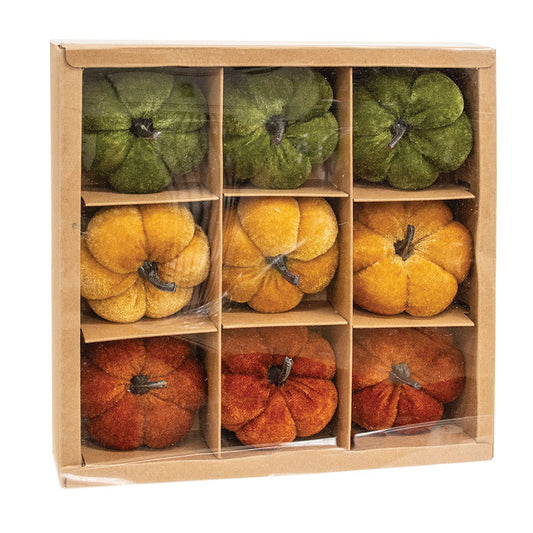 Velvet Pumpkins - Box of 9
