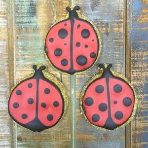 Ladybug Dog Biscuit