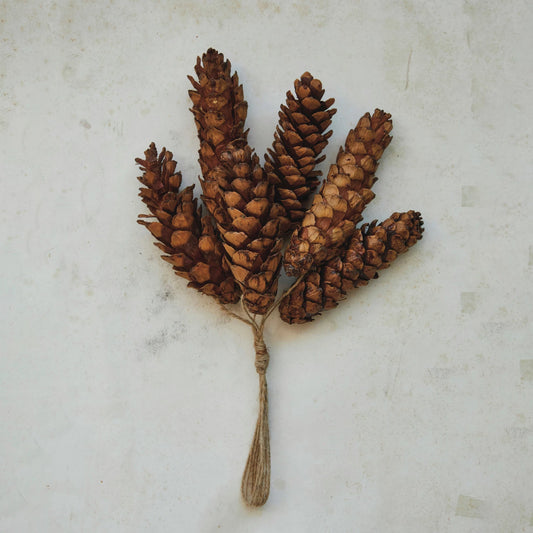 Natural Pine Cone Bunch