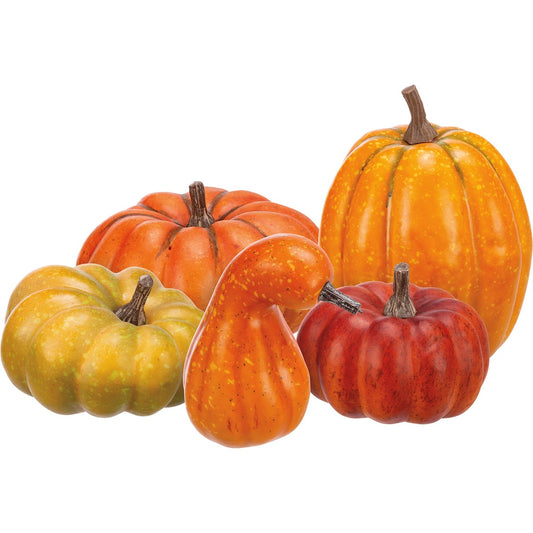 Orange Mix Pumpkin Set