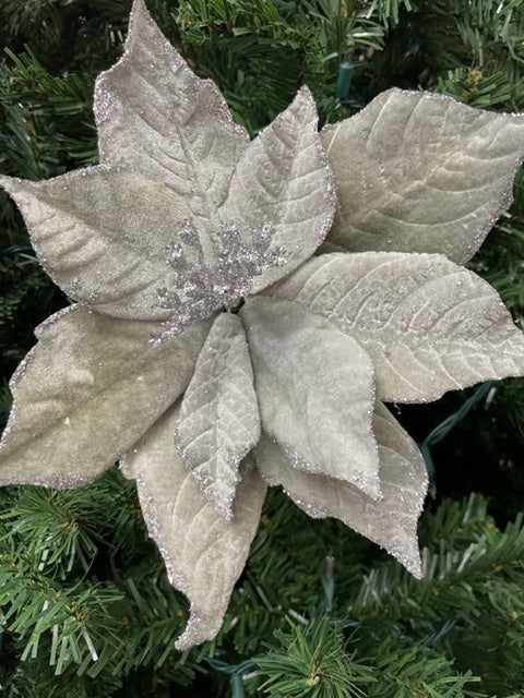 Poinsettia Stem - Sage