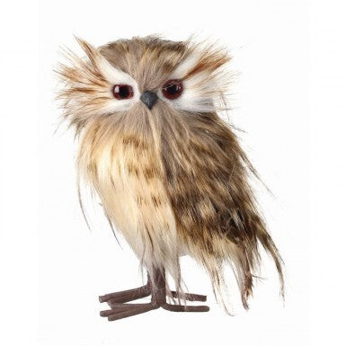 Standing Owl