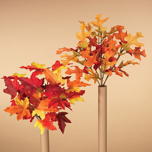 fall, foliage, oak leaves, maple leaves