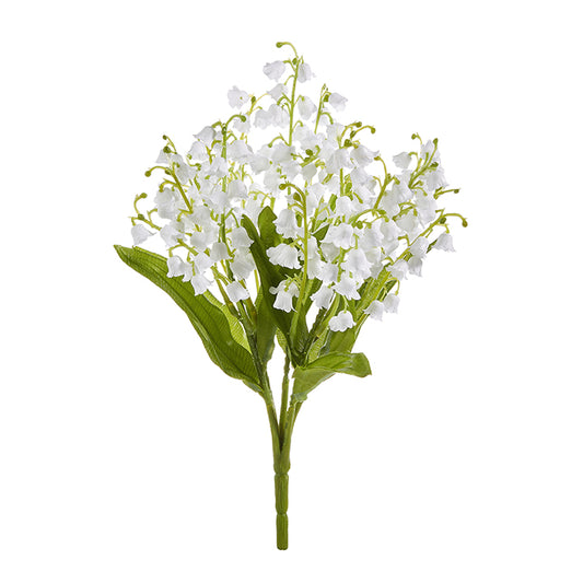 White Lily of the Valley