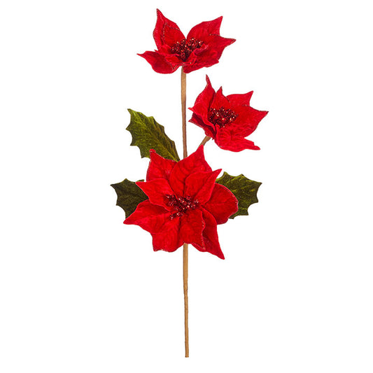 Poinsettia, spray, floral, chrsitmas