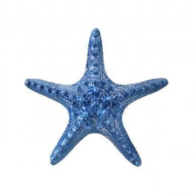 Blue Starfish